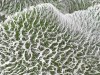 20191023_122756.jpg