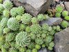 20191023_121052.jpg