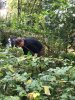 IMG-20171002-WA0043.jpg