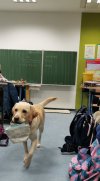 Lotta3.jpg