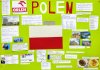 7d Polen.jpg