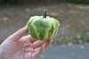 DSC_6089.JPG