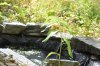 DSC_6076.JPG