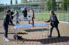 Sportfest_2017_10.jpg
