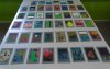 minP1020447.jpg