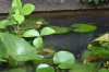 DSC_6041.JPG