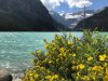 IMG_8045 2.jpeg