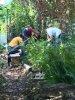 IMG-20171002-WA0036.jpg