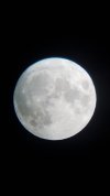 Jakob Wolf Flottes Foto Mond.jpg