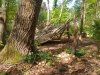 180925-survival2.jpg
