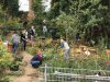 IMG-20171002-WA0001.jpg